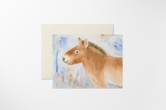 Donkey