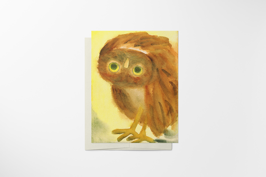 Owl
