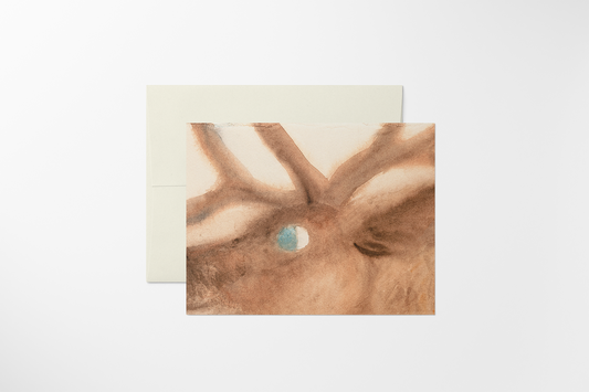 Reindeer